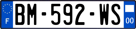 BM-592-WS