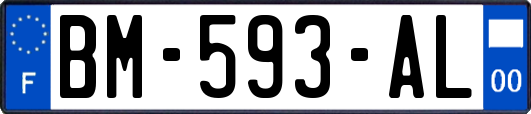 BM-593-AL