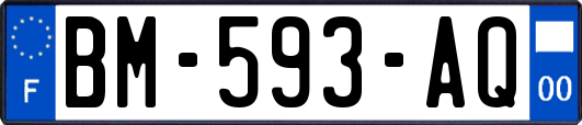 BM-593-AQ