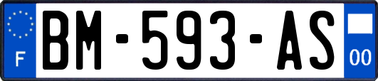 BM-593-AS