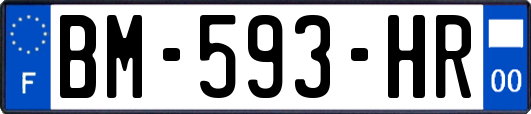 BM-593-HR