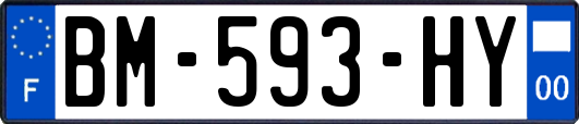 BM-593-HY