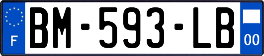 BM-593-LB