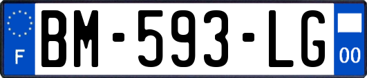 BM-593-LG