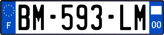 BM-593-LM