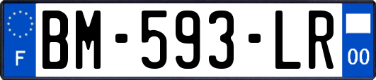 BM-593-LR