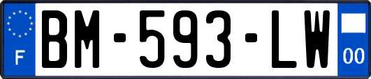 BM-593-LW