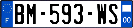 BM-593-WS