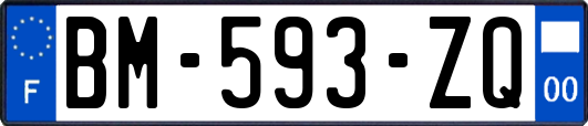 BM-593-ZQ