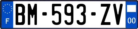 BM-593-ZV