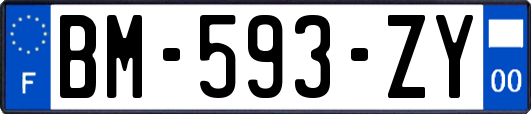 BM-593-ZY