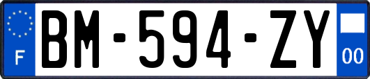 BM-594-ZY