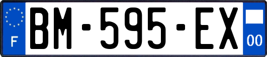 BM-595-EX