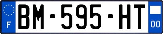 BM-595-HT
