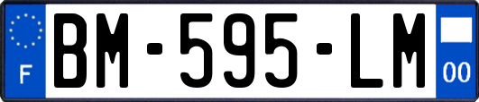 BM-595-LM