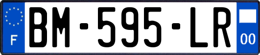 BM-595-LR