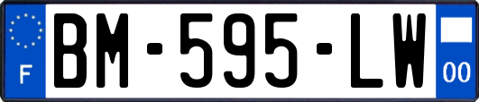 BM-595-LW