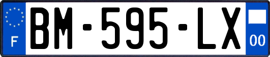 BM-595-LX