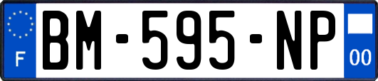 BM-595-NP