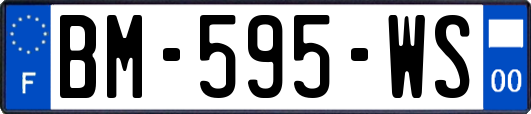 BM-595-WS