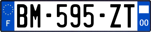 BM-595-ZT