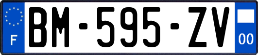 BM-595-ZV