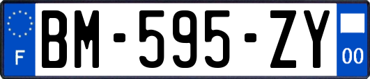 BM-595-ZY