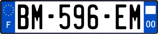 BM-596-EM