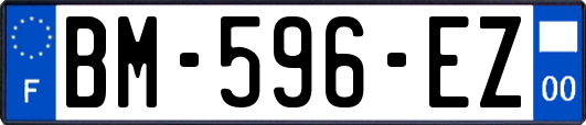 BM-596-EZ