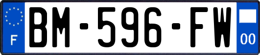 BM-596-FW