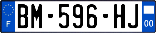 BM-596-HJ