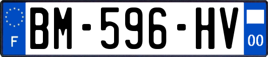 BM-596-HV