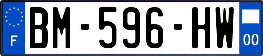 BM-596-HW
