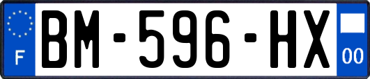 BM-596-HX