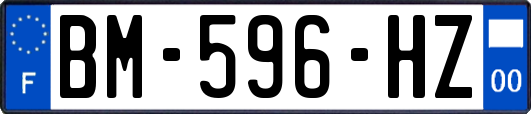 BM-596-HZ