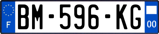 BM-596-KG