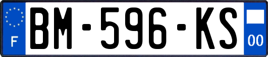 BM-596-KS