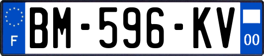 BM-596-KV