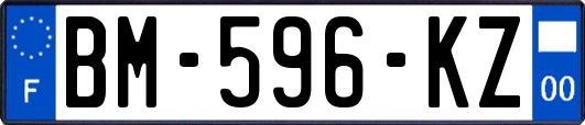 BM-596-KZ