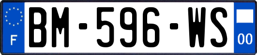 BM-596-WS