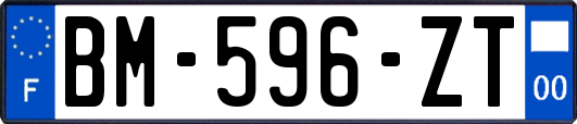 BM-596-ZT