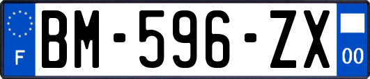 BM-596-ZX