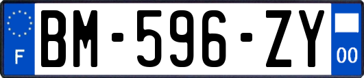 BM-596-ZY