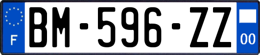 BM-596-ZZ