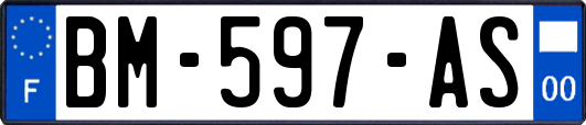 BM-597-AS