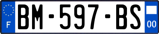 BM-597-BS