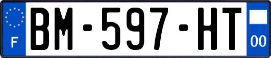 BM-597-HT