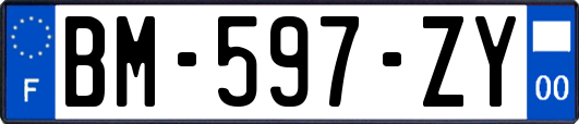 BM-597-ZY