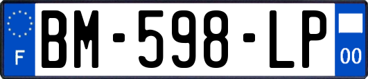 BM-598-LP