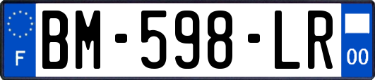 BM-598-LR